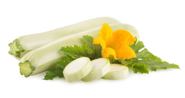 Färsk zucchini — Stockfoto