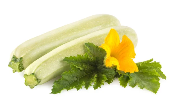 Verse courgette — Stockfoto