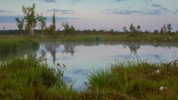 Mañana Pantano Timelapse Movimiento — Vídeo de stock