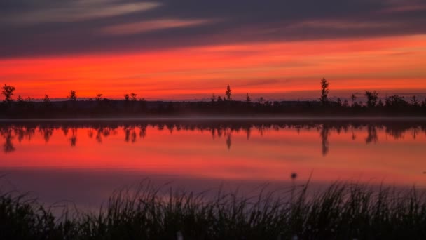 Manhã Pântano Movimento Timelapse — Vídeo de Stock