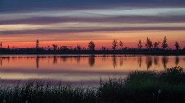 Sabah (hareket timelapse bataklıkta)