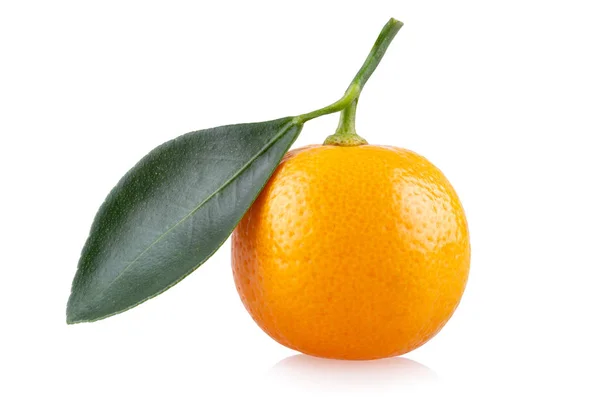 Mandarino fresco arancione — Foto Stock