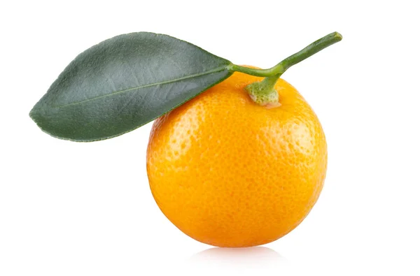 Orange mandarine fraîche — Photo