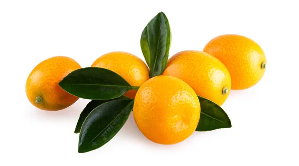 Ripe Kumquats Leaves Isolated White Background — Stock Photo, Image