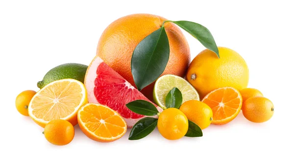 Colorful Citruses Isolated White Background — Stock Photo, Image