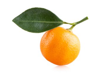 Beyaz zemin üzerinde olgun mandalina (clementine) portakalı izole
