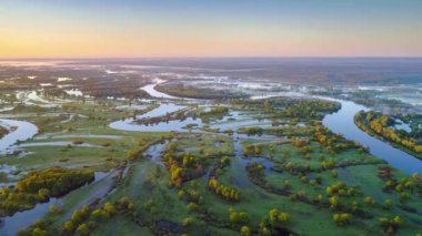 Belarus Palessie 'nin ana nehrinin hava görüntüleri - Prypyat nehri