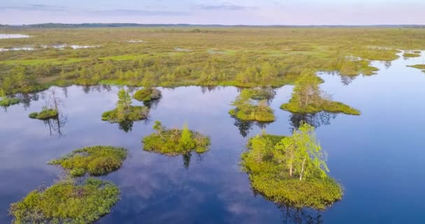 Letecké Záběry Unikátní Přírodní Oblasti Bažiny Yelnya Bělorusko — Stock video