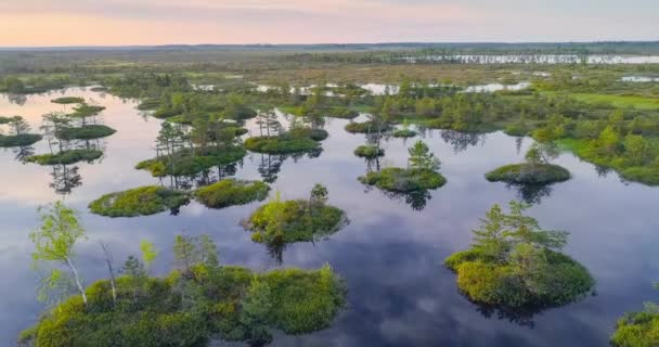 一个独特的自然地区 叶尔尼亚沼泽地的空中录像 白俄罗斯 — 图库视频影像