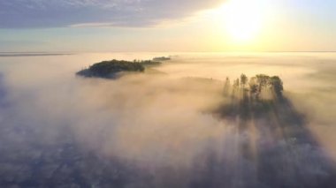 Eşsiz doğal alandaki sabah sisi - Yelnya bataklığı (Belarus)
