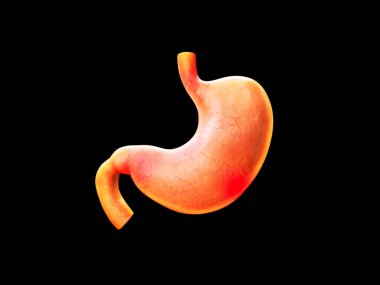 Mide ağrısı, mide ekşimesi, mide anatomisi, insan sindirim sistemi, asit, mide bulantısı, deniz tutması, kusma, mide iltihabı, mide reflü, hazımsızlık ve mide ağrısı sorunları.