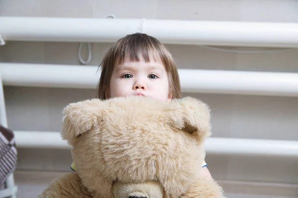 Peuter knuffelen teddybeer overdekt, toewijding concept, kindje verstopt achter het speelgoed Stockafbeelding