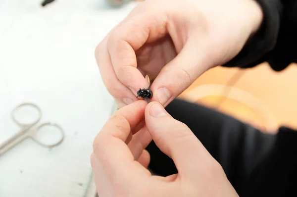 Junger Mann bastelt handgemachte Spielzeugbiene aus Kunststoffkleber, Hausdekoration handwerkliches Hobby, Dekoration Entstehungsprozess — Stockfoto