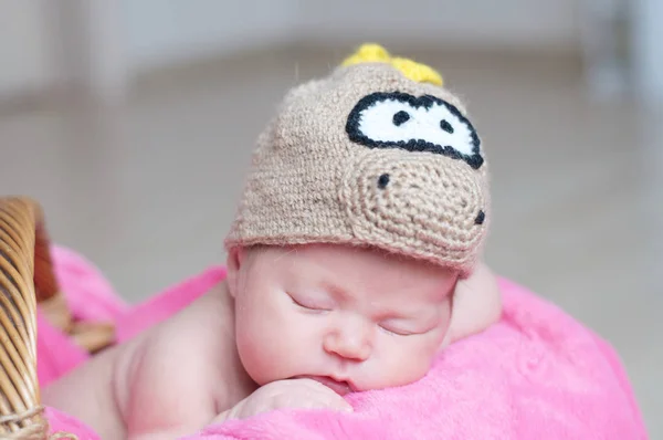 Cute happy newborn baby in dragon knitted cap sleeping in basket on pink blanket. Infant sleeping portrait. — Stock Photo, Image