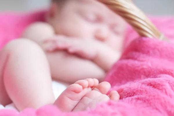 Yeni doğan closeup uyku ayaklar. Pembe battaniye sepet içinde yatan kız bebek bebek. Sevimli yumuşak topuklar