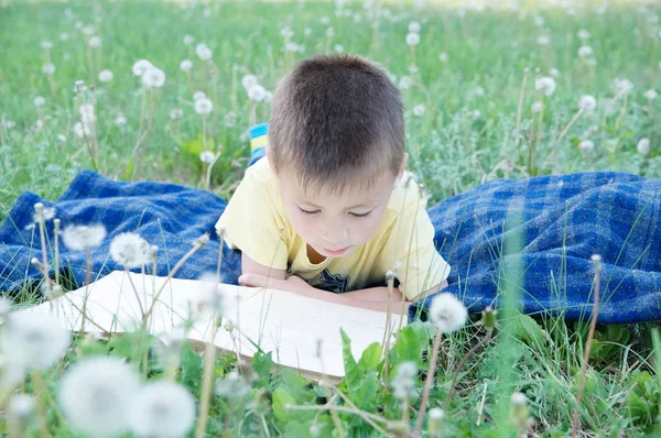 笑顔のかわいい子、子供の教育と開発の外の公園でタンポポの中で本を読んで少年。学校コンセプトに戻る — ストック写真