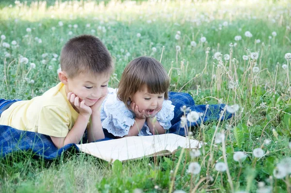 Kinderen lezen boeken in park liggend op buik buiten onder paardebloem in park, leuke kinderen onderwijs en ontwikkeling. Terug naar school concept Rechtenvrije Stockafbeeldingen