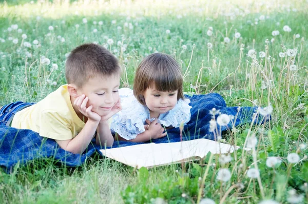 Діти читають книгу в парку, лежачи на животі на відкритому повітрі серед кульбаби в парку, мила освіта та розвиток дітей. Повернутися до концепції школи — стокове фото