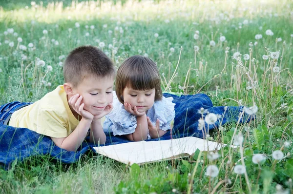 Діти читають книгу в парку, лежачи на животі на відкритому повітрі серед кульбаби в парку, мила освіта та розвиток дітей. Повернутися до концепції школи — стокове фото
