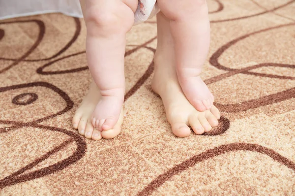 Patas de madre y bebé a cubierto. Primeros pasos . — Foto de Stock