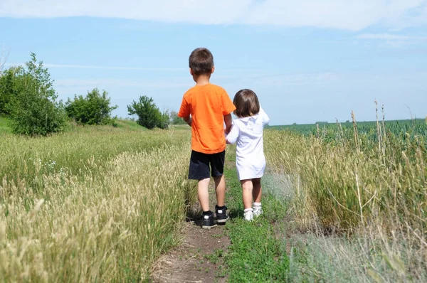 Little boy and little girl walking away on the road in the field at summer day, brother and sister together 