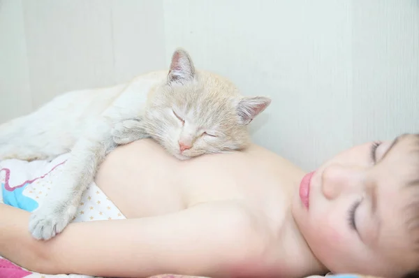 Garçon Dormir Avec Chat Animal Préféré Couché Sur Poitrine Enfant — Photo
