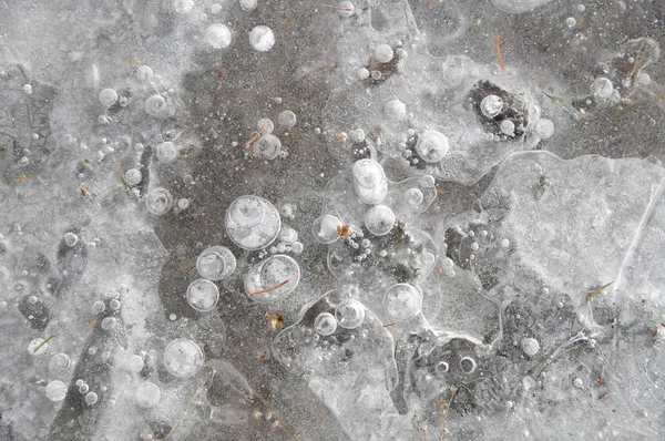 Fond Hivernal Avec Feuilles Gelées Bulles Dans Glace Phénomène Naturel — Photo