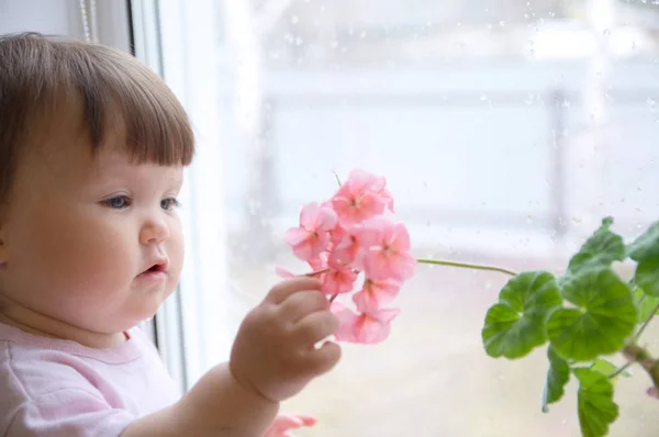 Nyfikenhet Childness Nyfiken Bebis Flicka Stående Rosa Kläder Ett Gammal — Stockfoto