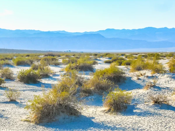 HDR Badwater Basin w dolinie śmierci — Zdjęcie stockowe