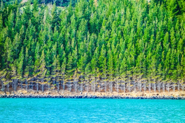 HDR kilátás Akaroa — Stock Fotó