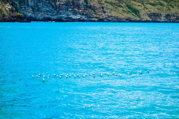 Hdr Ansicht von akaroa — Stockfoto