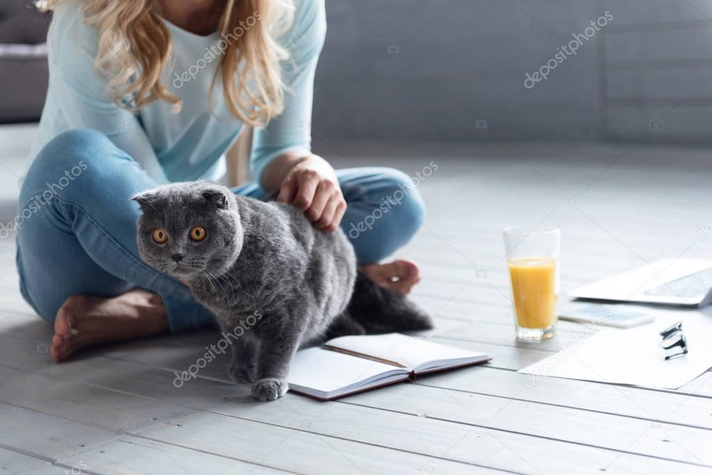 Close up of woman playing with cat on floor