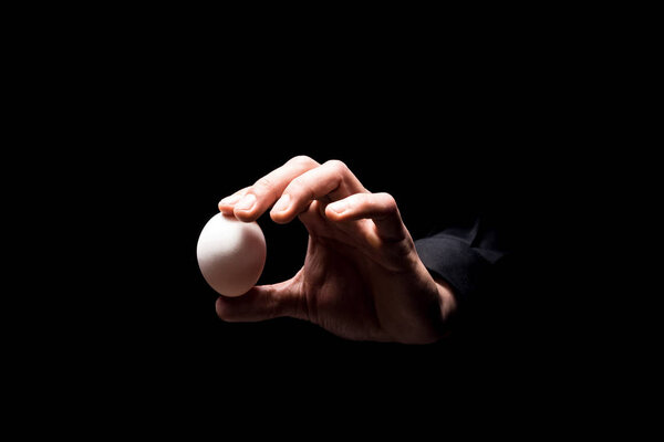 Close up of mans hand holding an egg