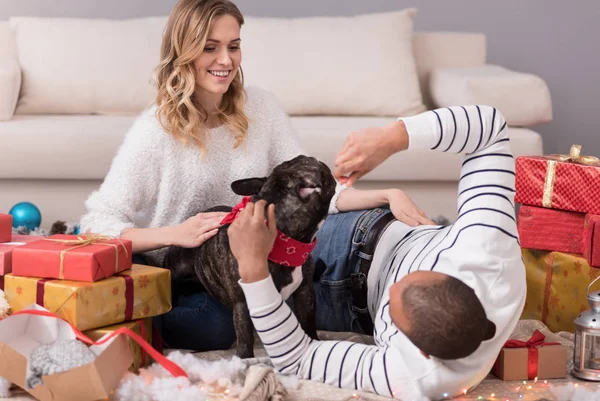 Goed uitziende gelukkige paar spelen met hun hond — Stockfoto