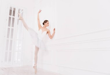 Zarif bale dansçısı uzatma egzersizleri yapıyor