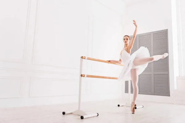 Bailarina elegante haciendo ejercicios de extensión —  Fotos de Stock