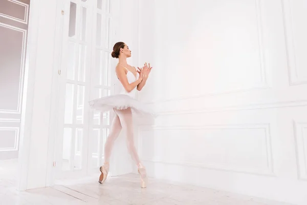 Graceful woman posing in studio — Stock Photo, Image