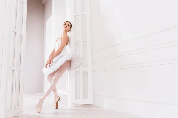 Profesionální klasická tanečnice stojí na špičkách — Stock fotografie