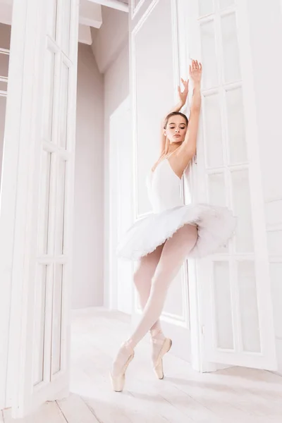 Elegante Balletttänzerin auf Zehenspitzen — Stockfoto