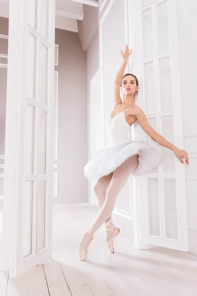 Professional female posing in ballet studio — Stock Photo, Image