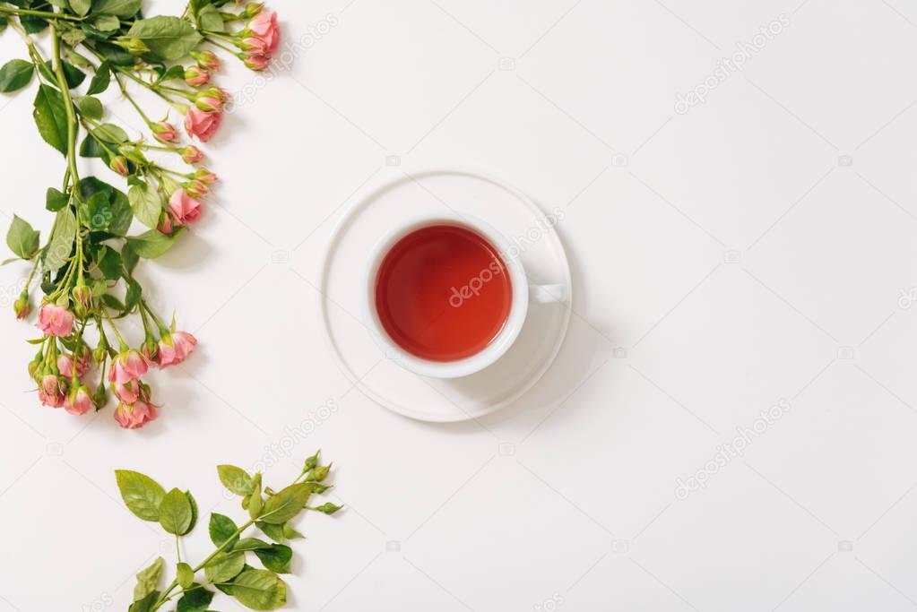 Branch of roses lying near the tea cup