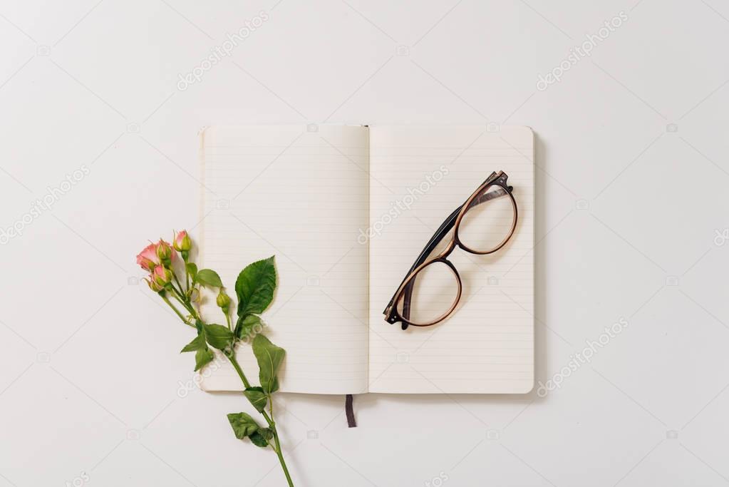 Eyeglasses lying on the open notebook