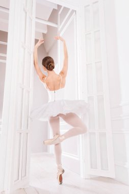 Klasik dansçı bale sınıfta poz