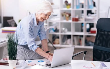 Neşeli yaşlı iş kadını ofiste dizüstü bilgisayar kullanarak