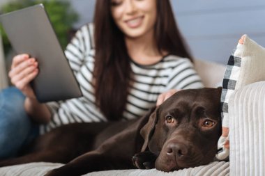 Memnun gülümseyen kadın kanepede onun evde beslenen hayvan ile yalan