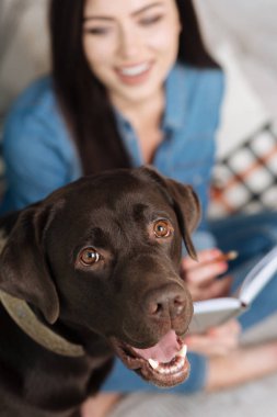 Metresi ile poz hevesli güzel köpek