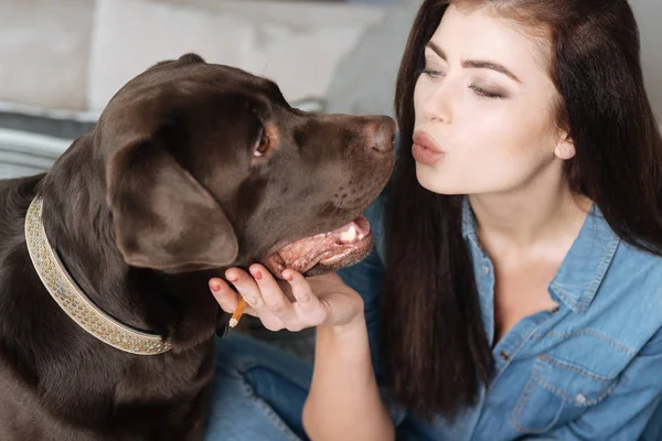Duygusal çarpıcı kadın onu evde beslenen hayvan öpüşme — Stok fotoğraf