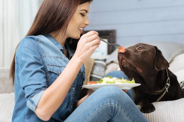 Engraçado menina bonita provocando seu cão — Fotografia de Stock