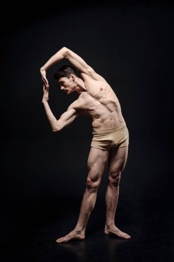 Germe zarif bale dansçısı