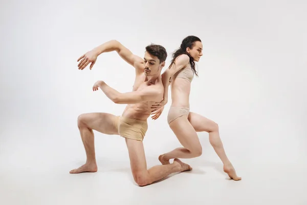 Bailarines de ballet delgados creativos — Foto de Stock